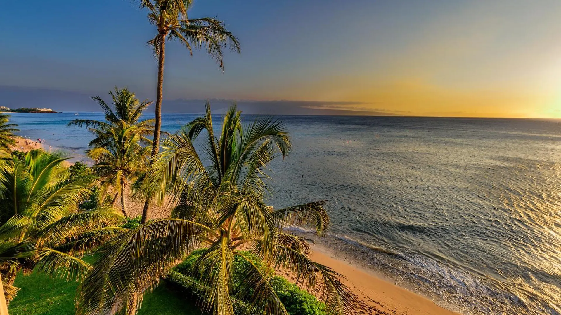 The Mahana Kahana 0*,