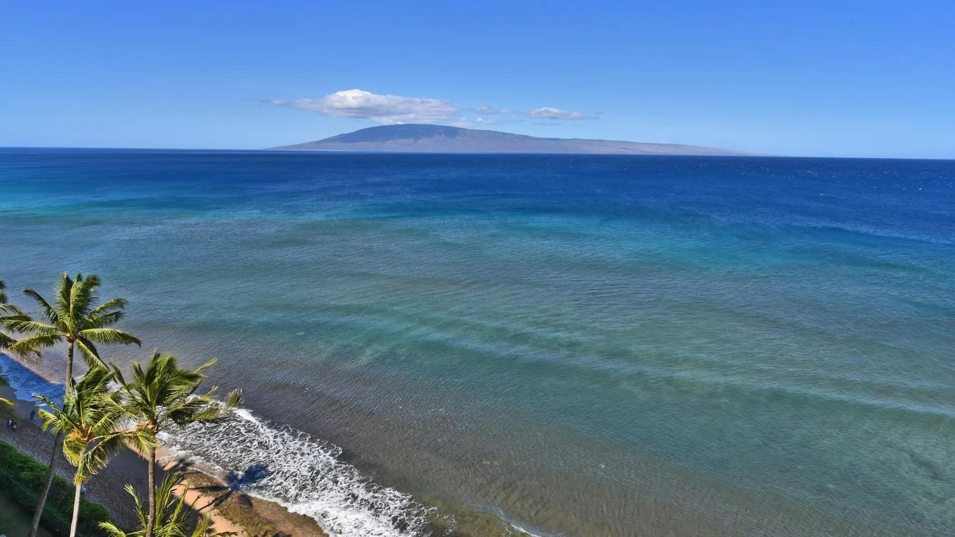 The Mahana Kahana 0*,  United States